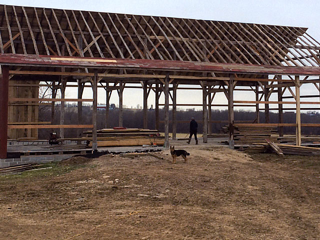 Adding roof planks to new barn